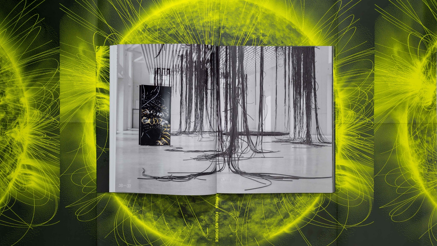 Aleksandra Vajd in Anetta Mona Chişa: Tar Star