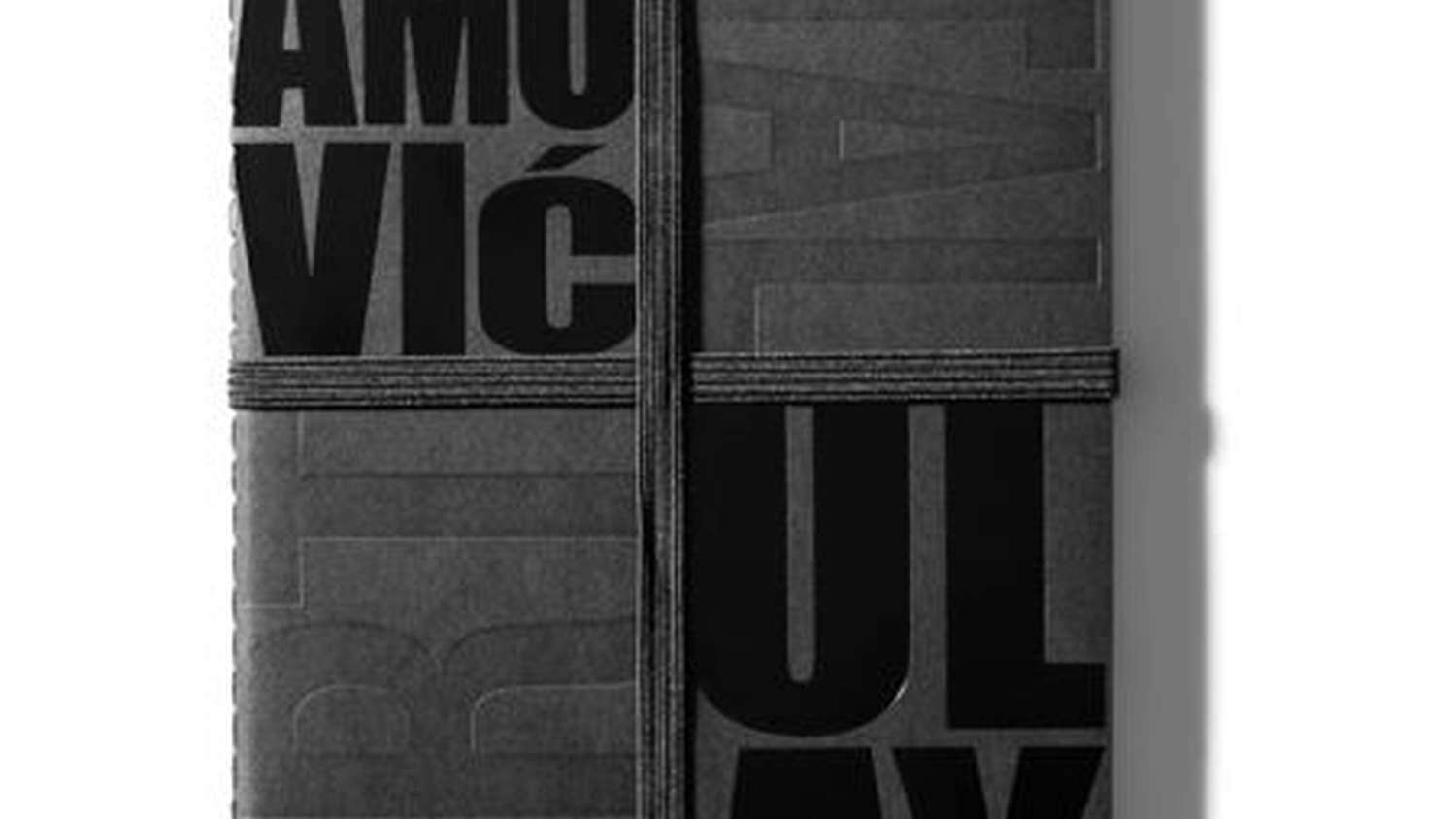 Notebooks ART VITAL x Moleskine