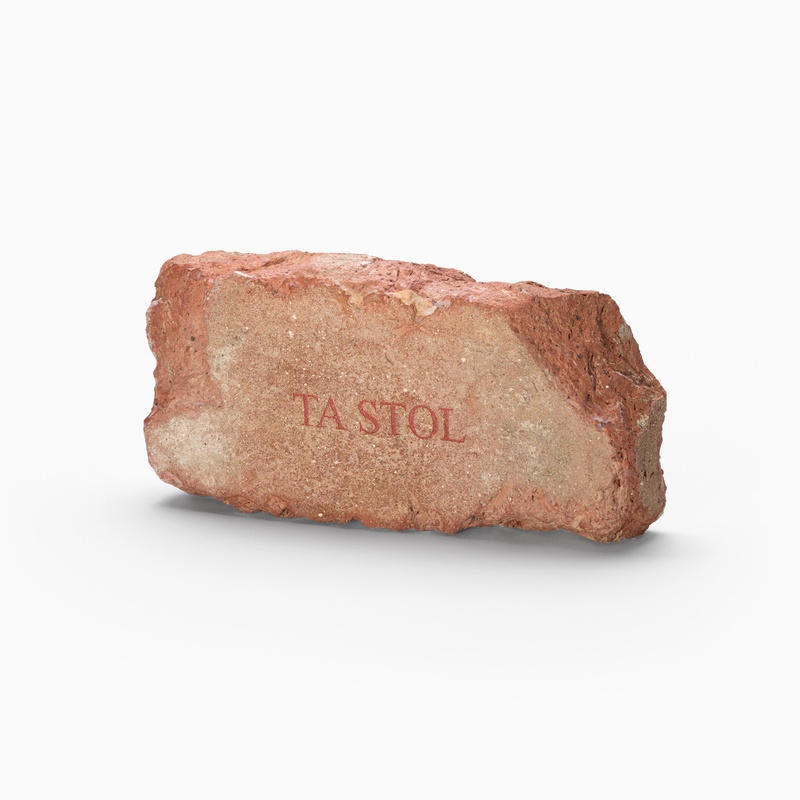 Tadej Pogačar - This is Not a Brick