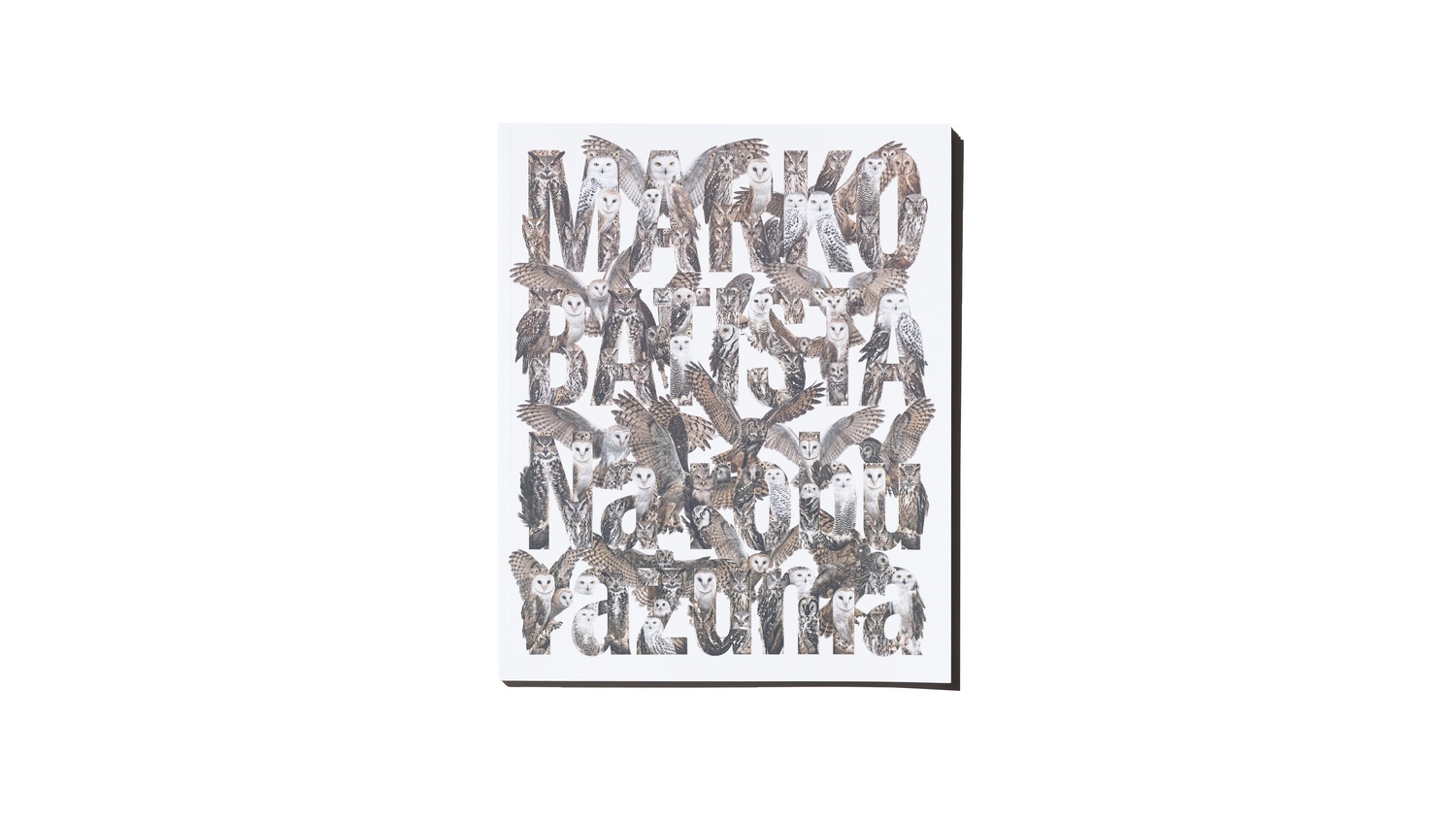 Marko Batista: At the Edge of Reason