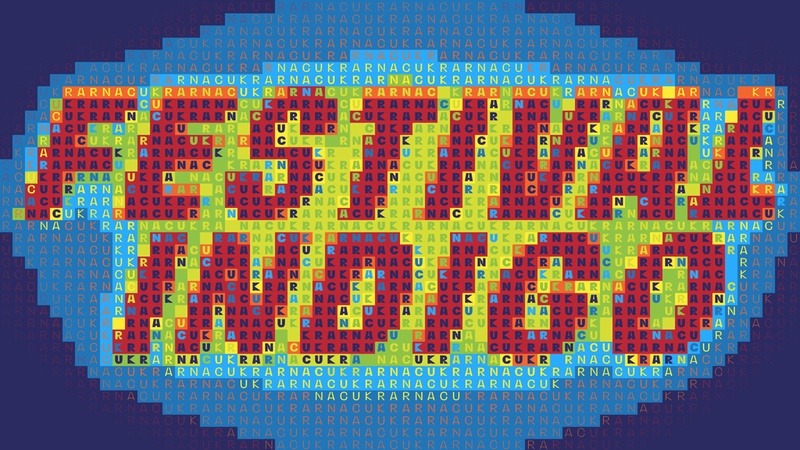 Festival Indigo 2024