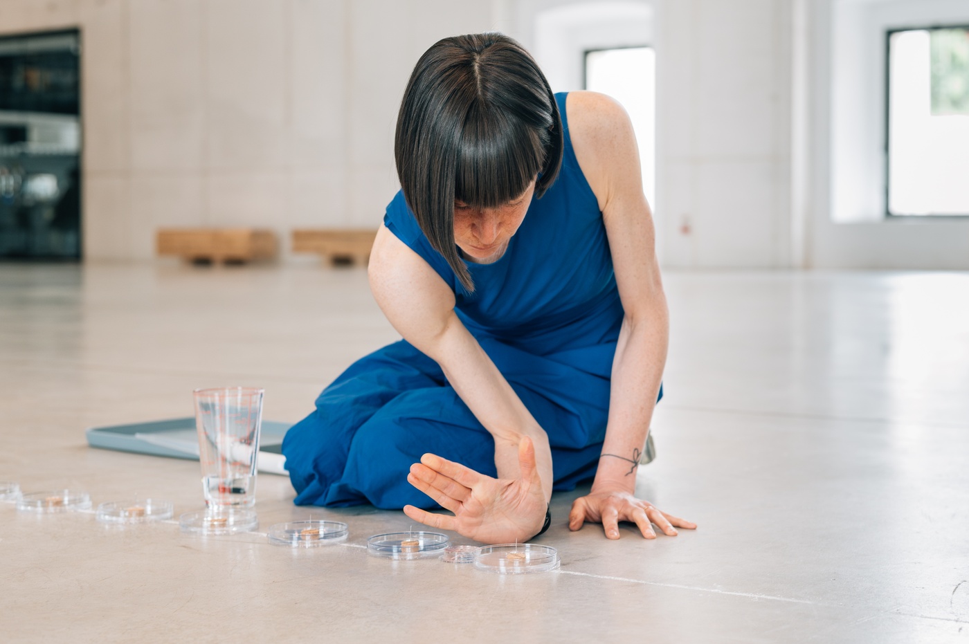 Adam York Gregory & Gillian Jane Lees