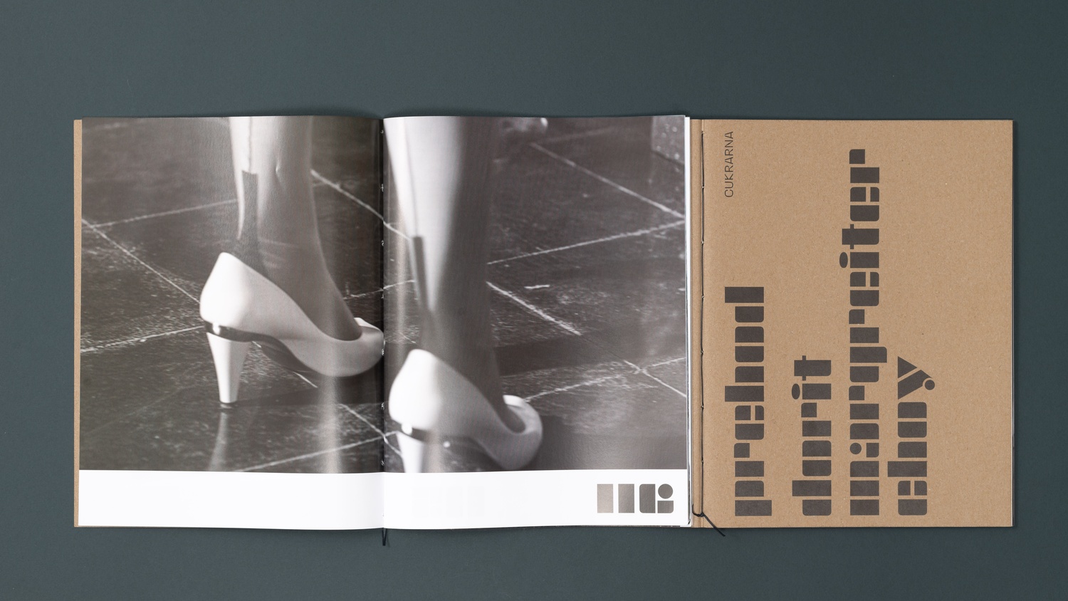Dorit Margreiter Choy: Prehod