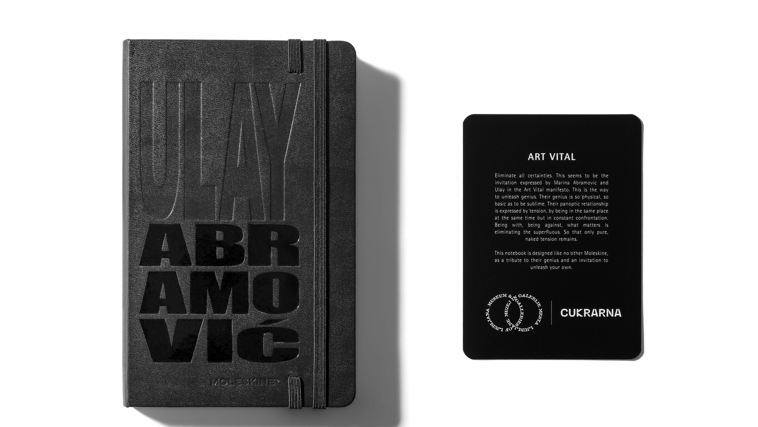 Notebooks ART VITAL x Moleskine