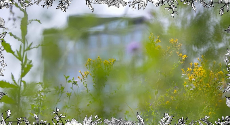 Beyond Listening 2025 CENSE Symposium