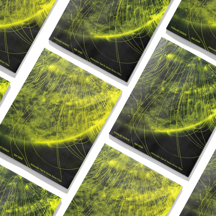 Aleksandra Vajd in Anetta Mona Chişa: Tar Star