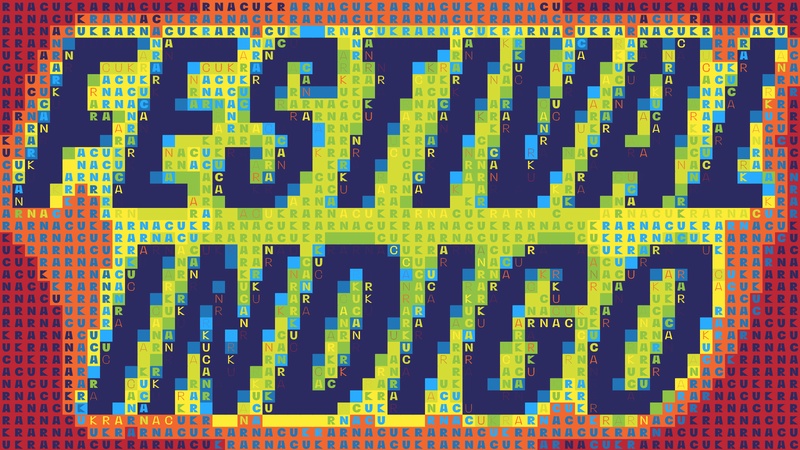 Indigo festival 2023