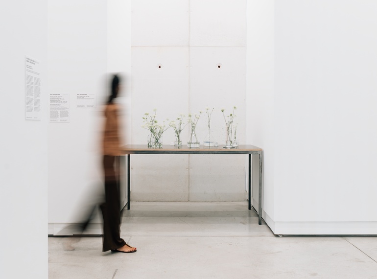untranquil now – a constellation of narratives and resonances, exhibition at  Cukrarna Gallery (MGML, SLO), 2026.