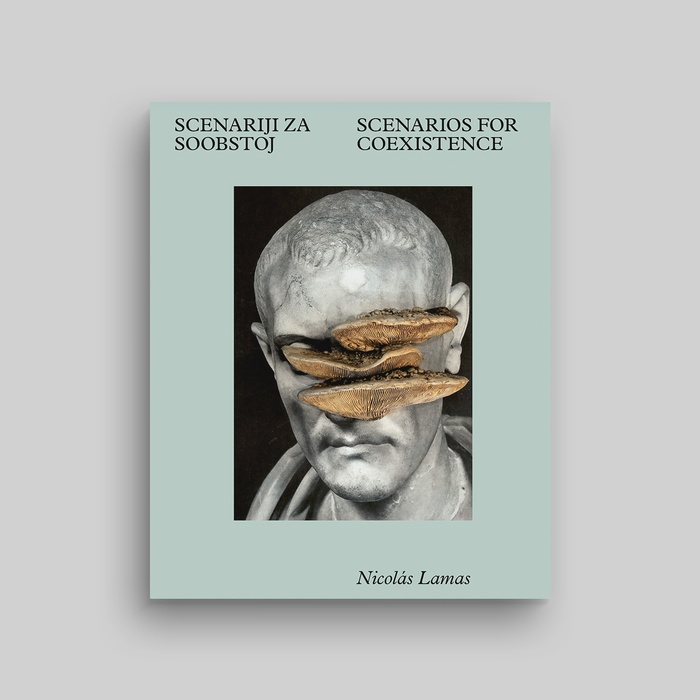 Nicolás Lamas: Scenarios for Coexistence