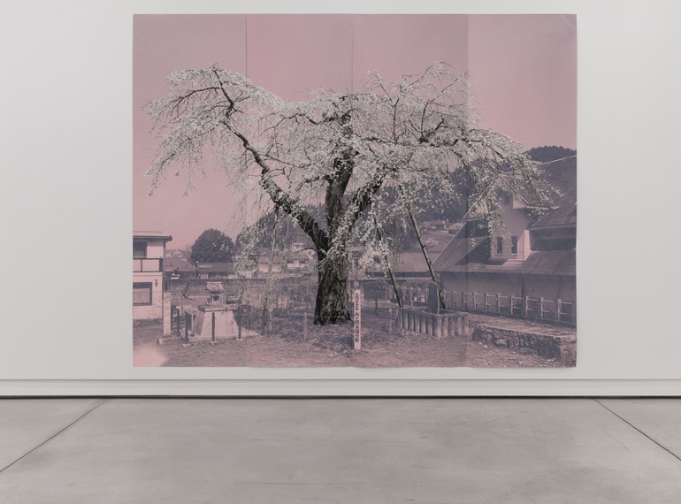 untranquil now – a constellation of narratives and resonances, exhibition at Cukrarna Gallery (MGML, SLO), 2026.