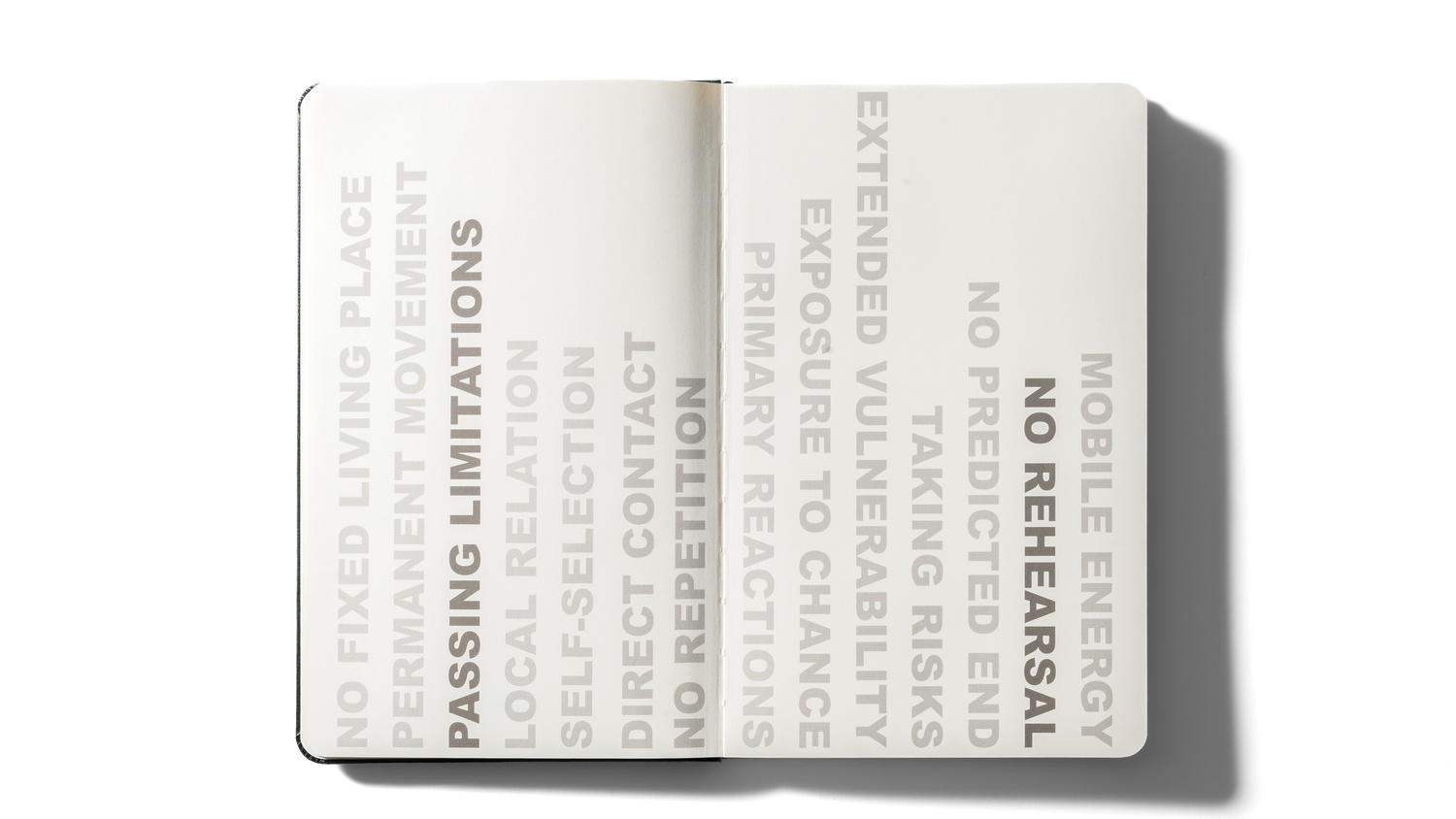 Notebooks ART VITAL x Moleskine