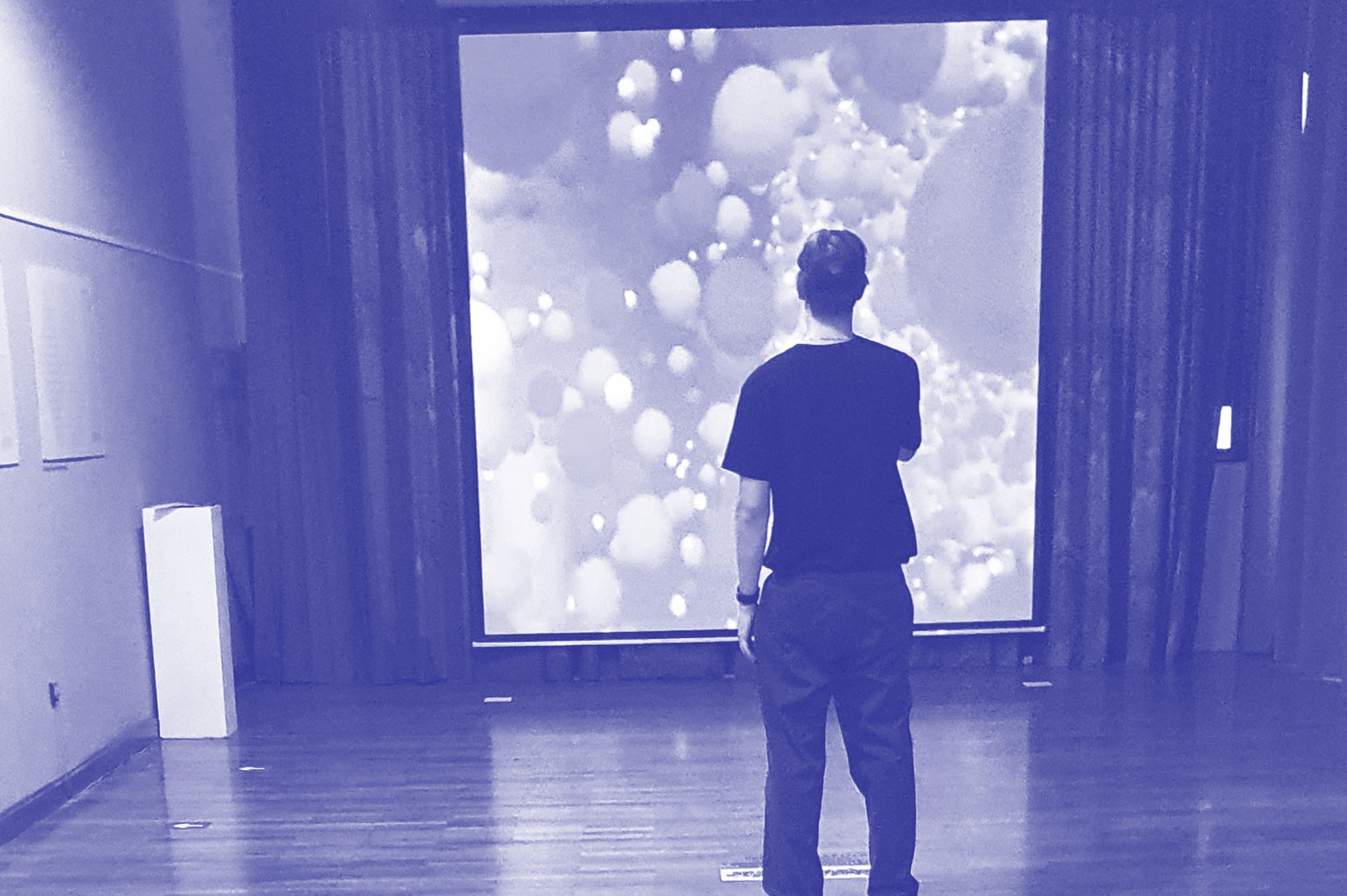 Srečo Dragan, Borut Batagelj, Narvika Bovcon, Aleš Vaupotič