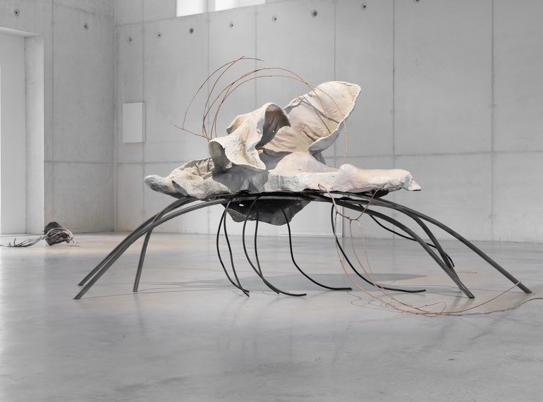 Yein Lee: “Accomplice”, exhibition at Cukrarna Gallery (MGML, SLO), 2026.