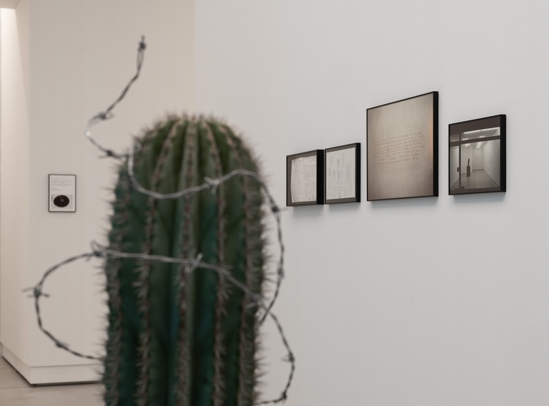 "ART VITAL – 12 let tandema Ulay / Marina Abramović", razstava v Cukrarni (MGML, SLO), 2025.