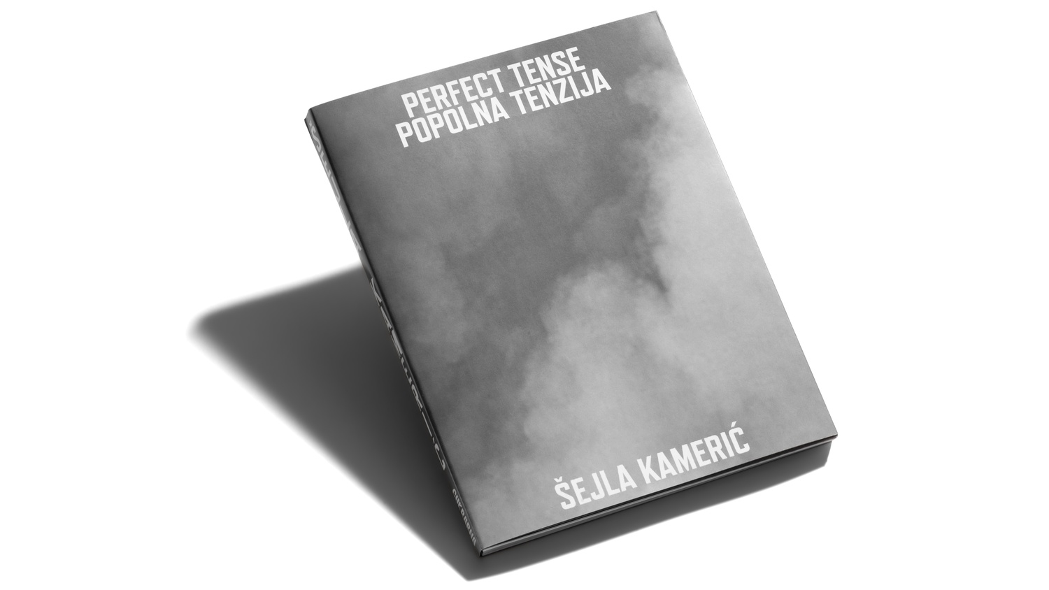 Šejla Kamerić: Popolna tenzija