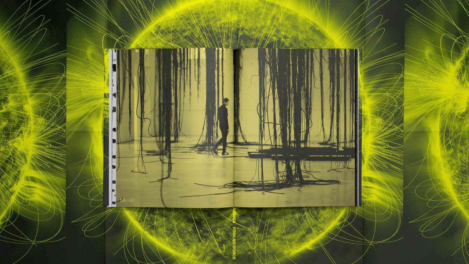 Aleksandra Vajd in Anetta Mona Chişa: Tar Star